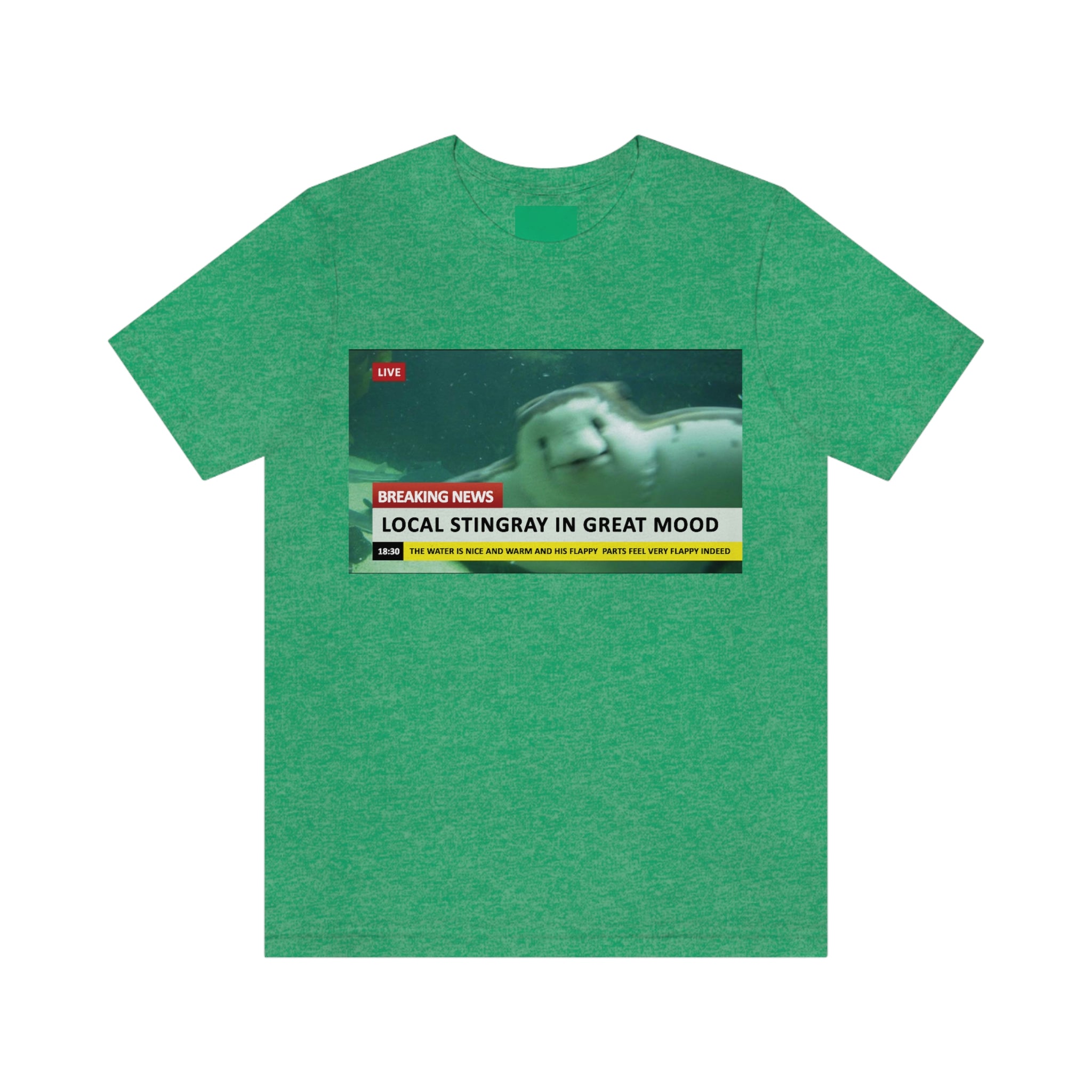 Flappy Stingray : Unisex 100% Comfy Cotton T-Shirt by Bella+Canvas